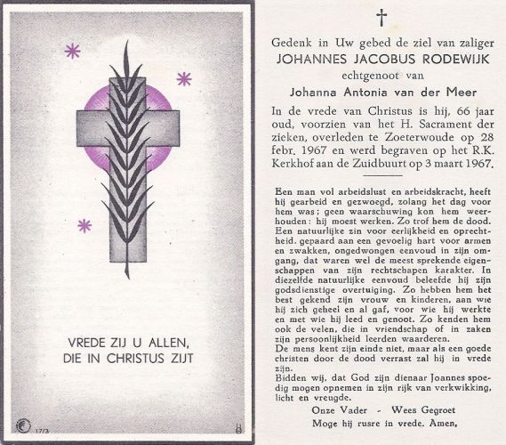 Scan